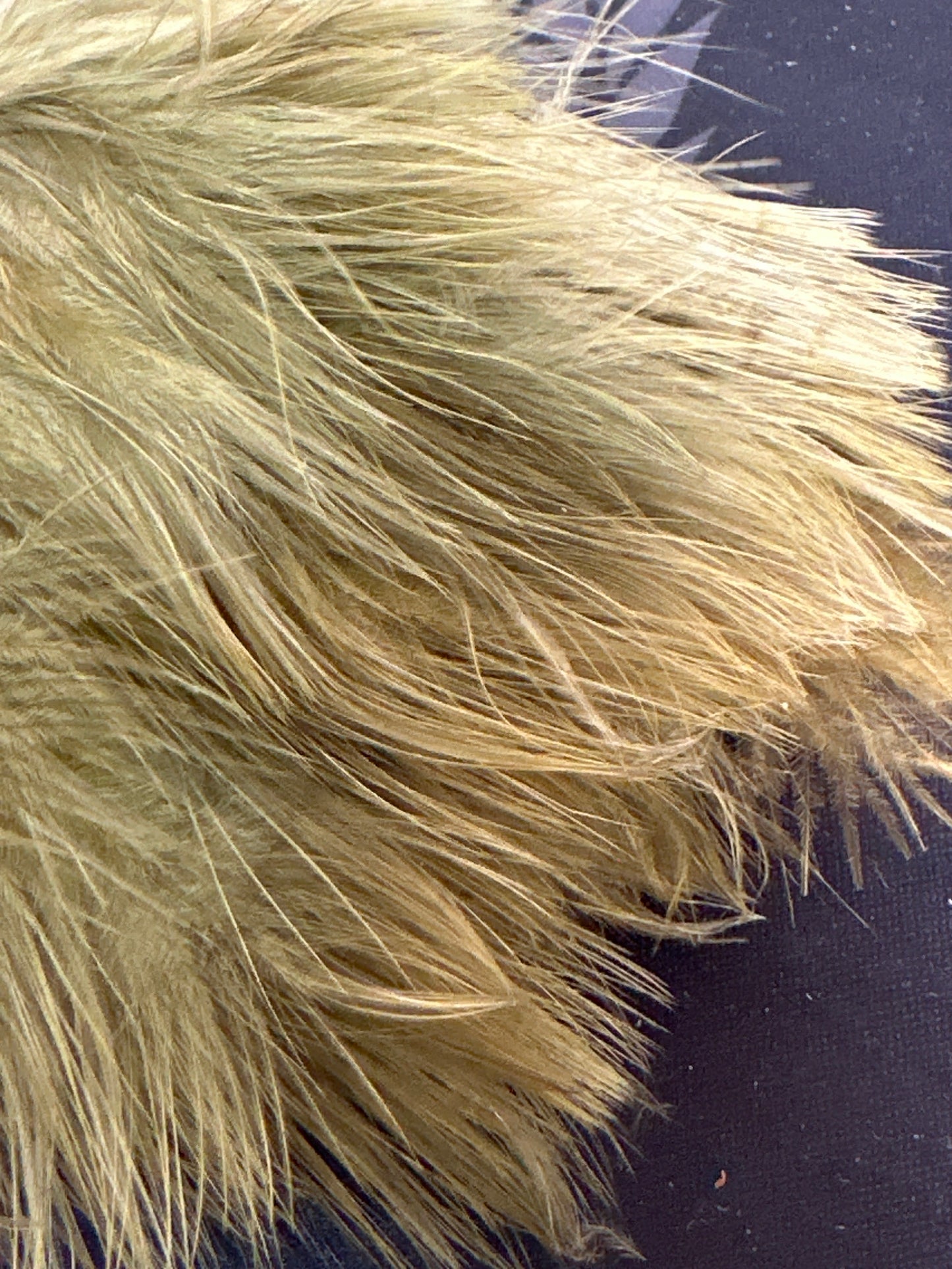 Nature's Spirit Fish Hunter Marabou Blood Quill