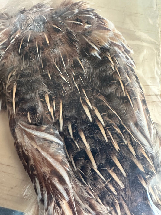 Back porch coturnix quail skin (no wings)