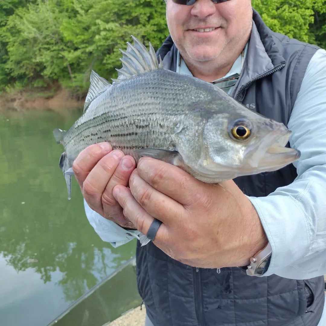 White River Guided fishing trip