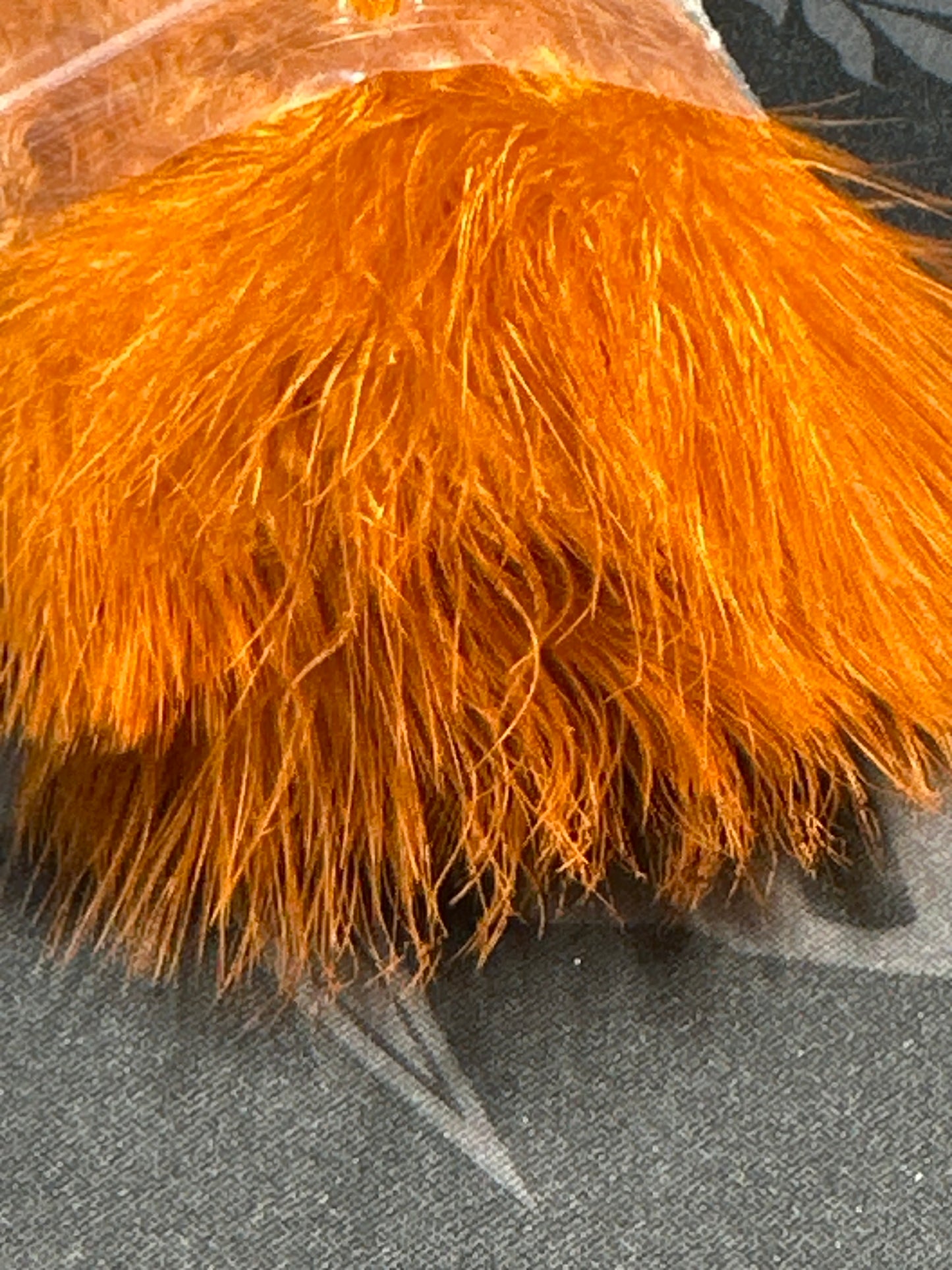 Nature's Spirit Fish Hunter Marabou Blood Quill