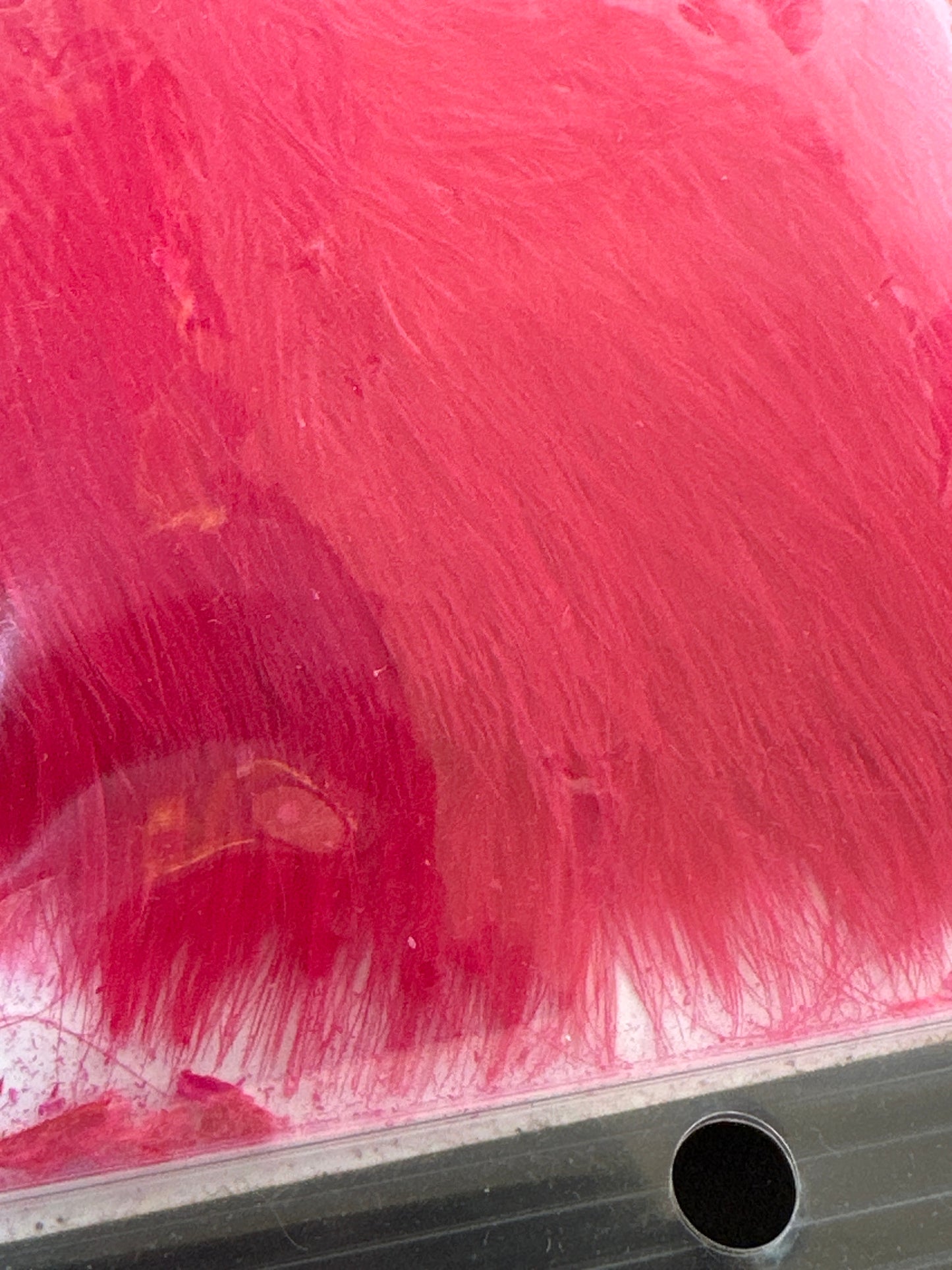 Nature's Spirit Fish Hunter Marabou Blood Quill