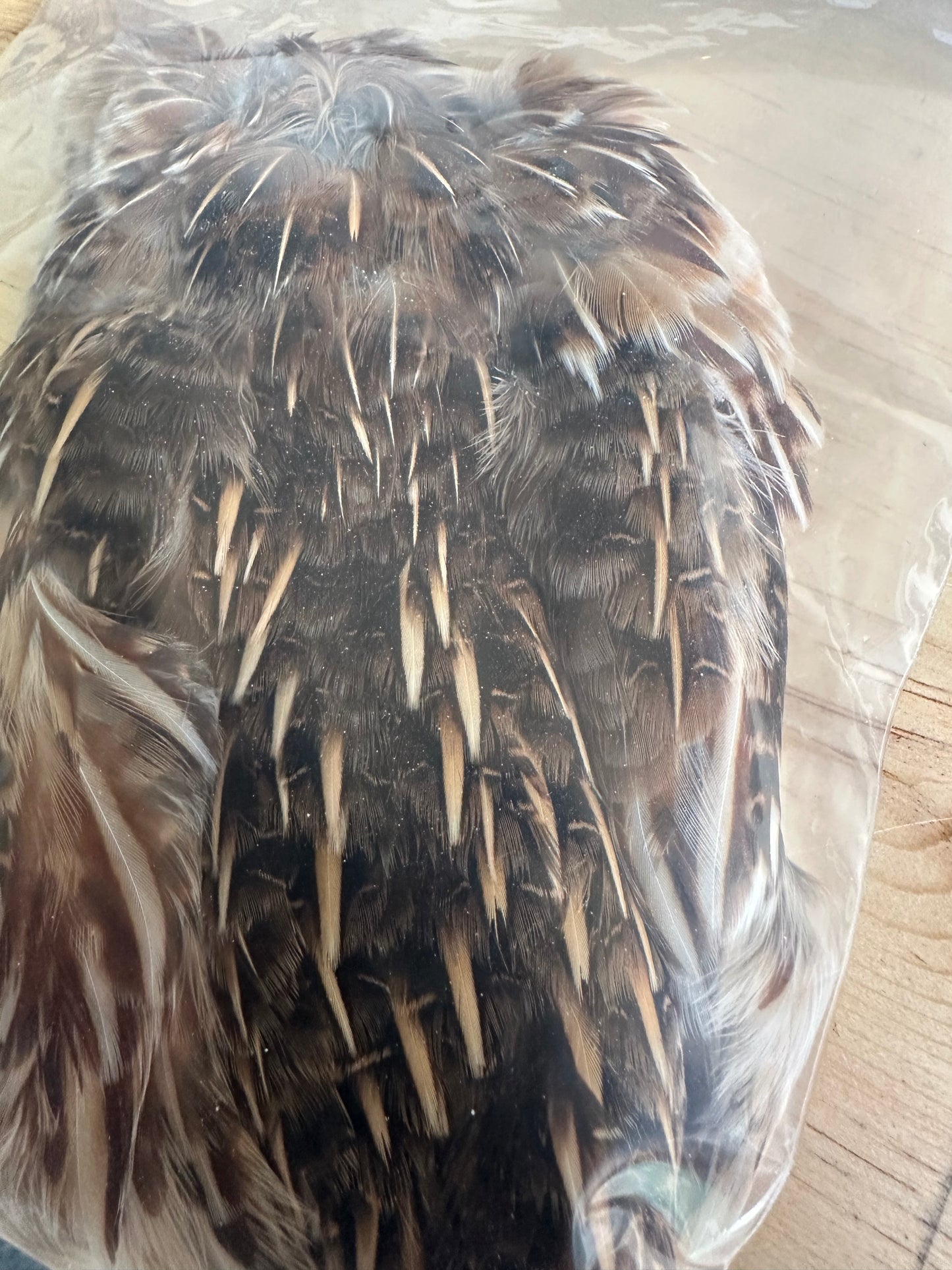 Back porch coturnix quail skin (no wings)