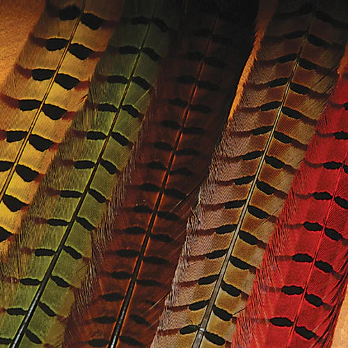 YFG Pheasant Tail feathers