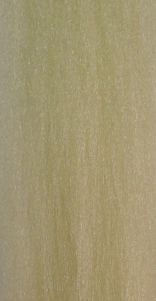 FTD Water Silk