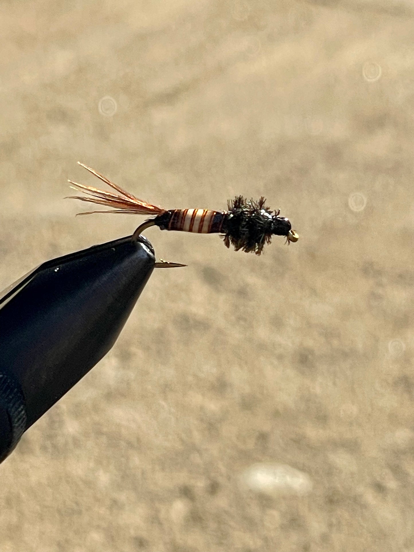 Pheasant tail flashback nymph