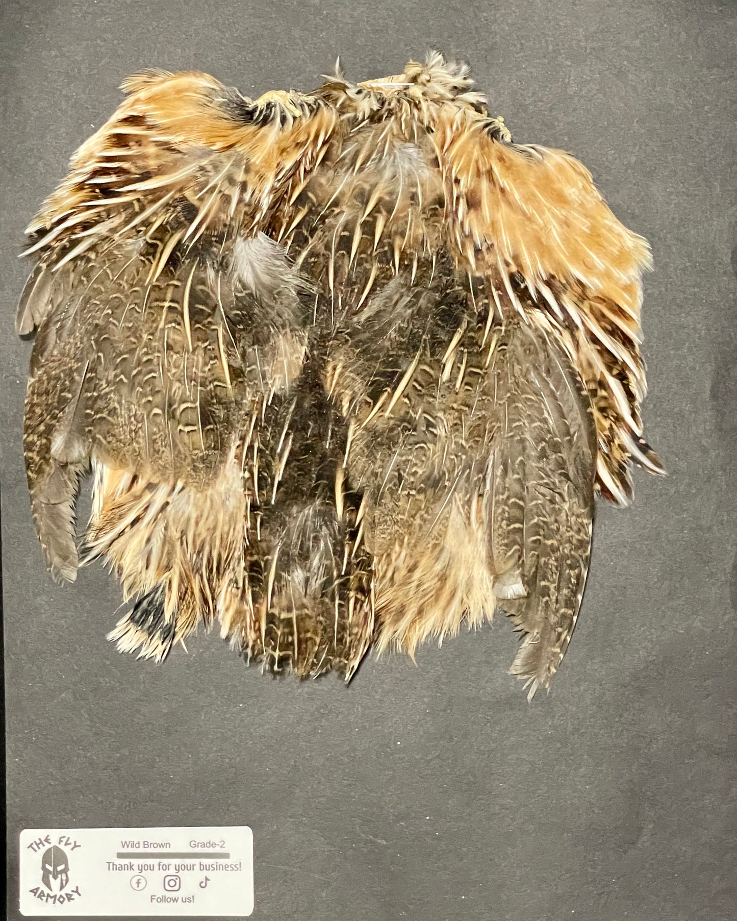 Coturnix quail pelt