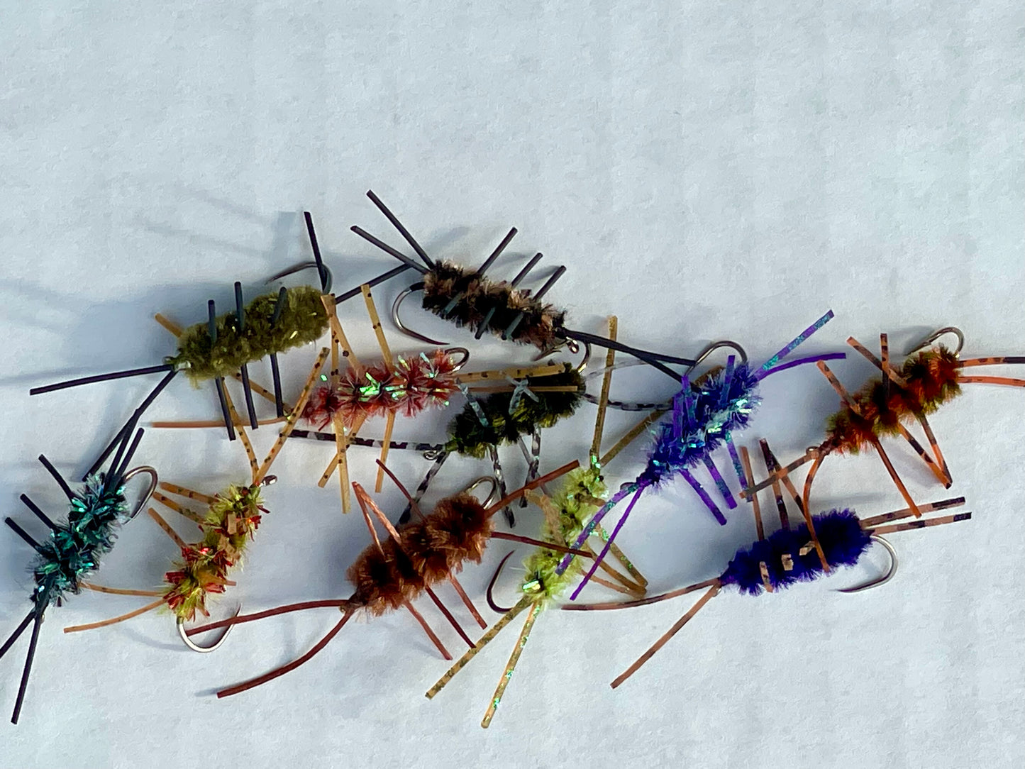 Girdle bugs by the dozen