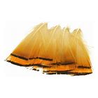 Hareline Golden Pheasant Tippets (large)